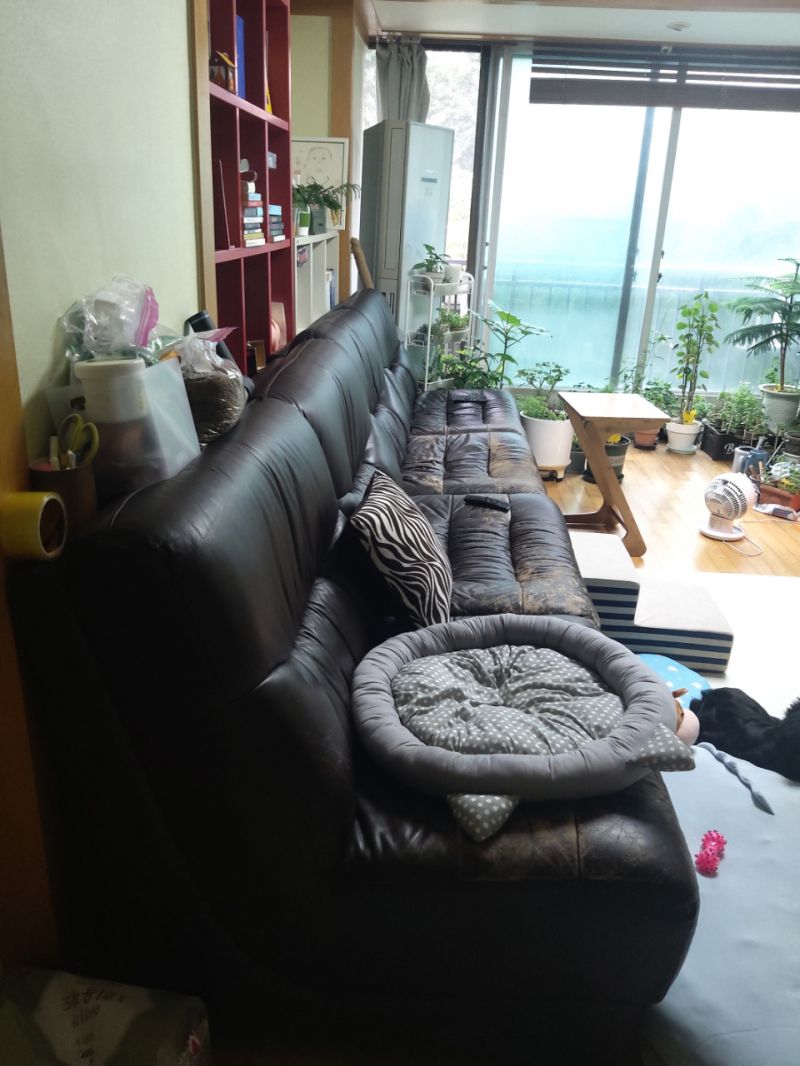 첨부된 이미지파일